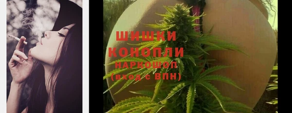 ешки Богородицк