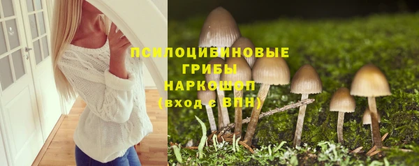 ешки Богородицк