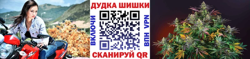 Шишки марихуана Ganja  маркетплейс Telegram  Волгодонск  купить наркотики цена 